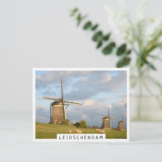 Landschap met windmolens en schapen briefkaart (Staand voorkant)