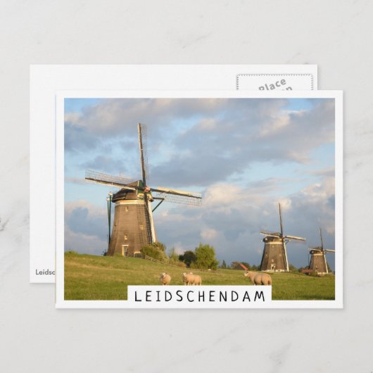 Landschap met windmolens en schapen briefkaart (Voorkant / Achterkant)
