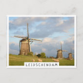 Landschap met windmolens en schapen briefkaart (Voorkant)