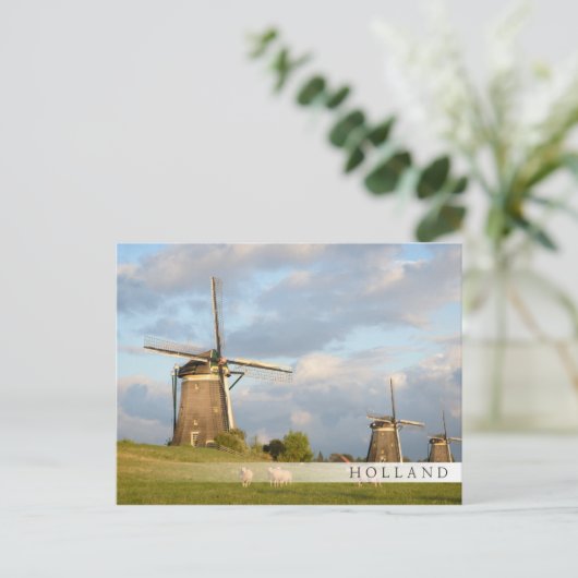 Landschap met windmolens en schapen briefkaart (Staand voorkant)