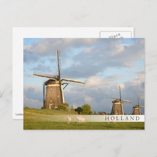 Landschap met windmolens en schapen briefkaart (Voorkant / Achterkant)