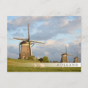 Landschap met windmolens en schapen briefkaart