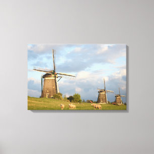 Landschap met windmolens en schapen canvas afdruk