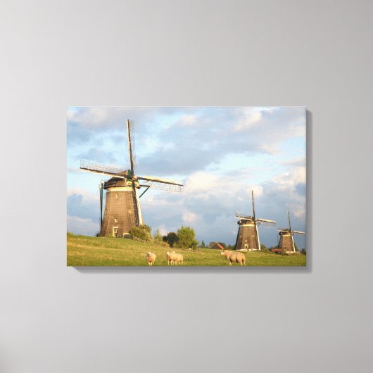 Landschap met windmolens en schapen canvas afdruk (Voorkant)