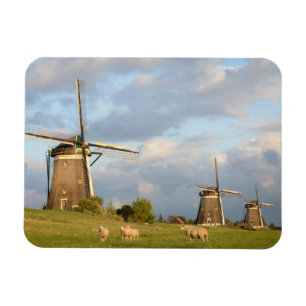 Landschap met windmolens en schapen magneet