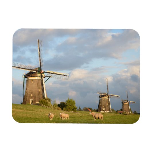 Landschap met windmolens en schapen magneet (Horizontaal)