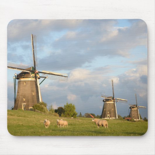 Landschap met windmolens en schapen muismat (Voorkant)