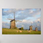 Landschap met windmolens en schapen poster (Voorkant)