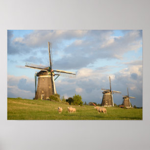 Landschap met windmolens en schapen poster