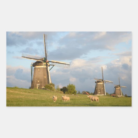 Landschap met windmolens en schapen rechthoekige sticker (Voorkant)