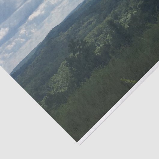 Landschap met worstdraad tissuepapier (Detail)