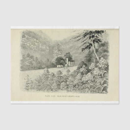 Landschap Mountain Flowers Ephemera Decoupage Tissuepapier (Voorkant)