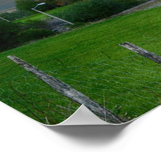 Landschap Noorwegen Poster (Hoek)