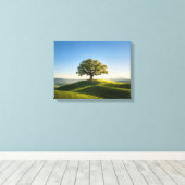 Landschap Nr. 6, Landschap Serie Canvasprint Canvas Afdruk (Insitu (Houten vloer))