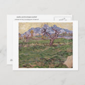 Landschap Olijfboomgebergten, Van Gogh Fine Art Briefkaart (Voorkant / Achterkant)