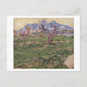 Landschap Olijfboomgebergten, Van Gogh Fine Art Briefkaart (Voorkant)