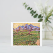 Landschap Olijfboomgebergten, Van Gogh Fine Art Briefkaart (Staand voorkant)
