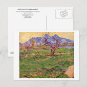 Landschap Olijfboomgebergten, Van Gogh Fine Art Briefkaart (Voorkant / Achterkant)