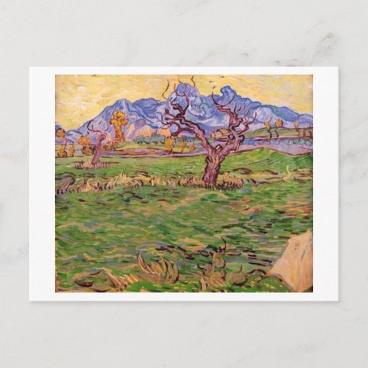 Landschap Olijfboomgebergten, Van Gogh Fine Art Briefkaart (Voorkant)