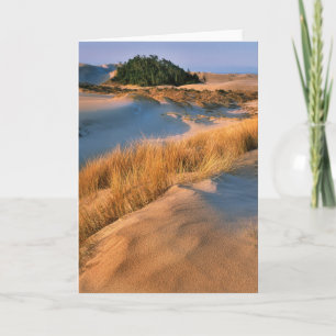 Landschap Oregon Sand Dunes Kaart