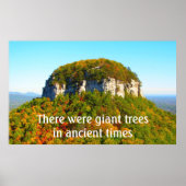 Landschap Pilot Mountan en Bomen Poster (Voorkant)