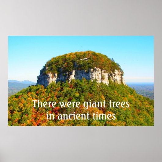 Landschap Pilot Mountan en Bomen Poster (Voorkant)