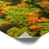 Landschap Pilot Mountan en Bomen Poster (Hoek)