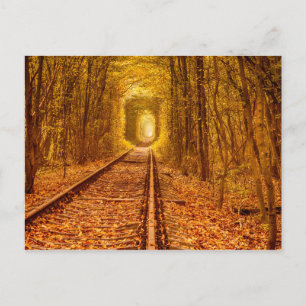 Landschap Po Oekraïne Forest Railway Tunnel of Lov Briefkaart
