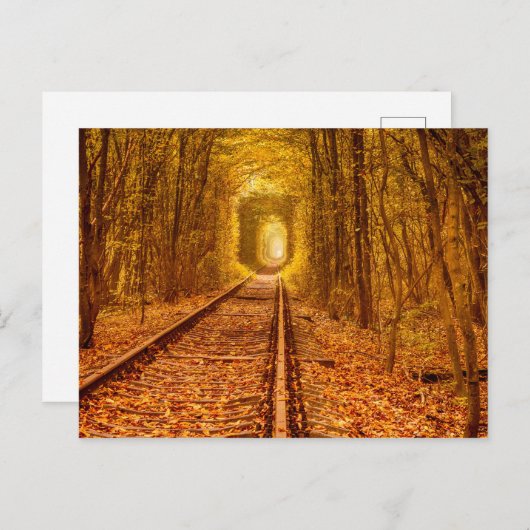 Landschap Po Oekraïne Forest Railway Tunnel of Lov Briefkaart (Voorkant / Achterkant)