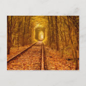 Landschap Po Oekraïne Forest Railway Tunnel of Lov Briefkaart (Voorkant)