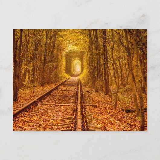 Landschap Po Oekraïne Forest Railway Tunnel of Lov Briefkaart (Voorkant)