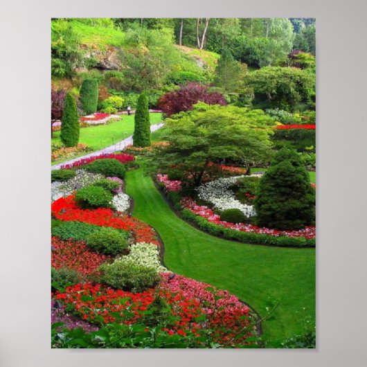 landschap poster (Voorkant)