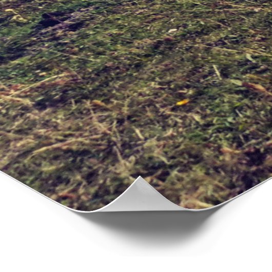 Landschap Poster (Hoek)