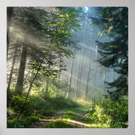 Landschap Poster (Voorkant)