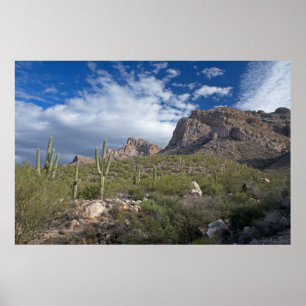Landschap Pusch Ridge Poster