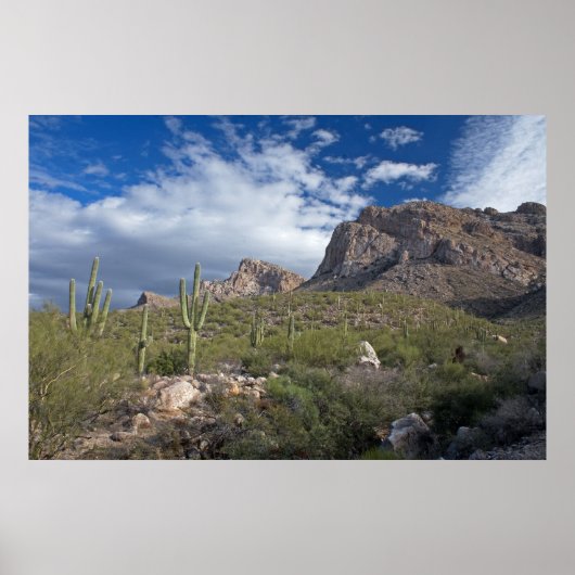 Landschap Pusch Ridge Poster (Voorkant)
