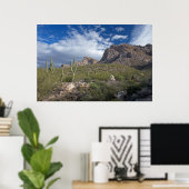 Landschap Pusch Ridge Poster (Thuiskantoor)