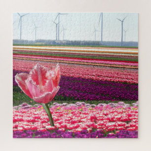 Landschap Puzzle: Roze Paarse Tulips Field Legpuzzel