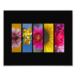 Landschap Roze en Gele Macro Flowers Foto Afdruk