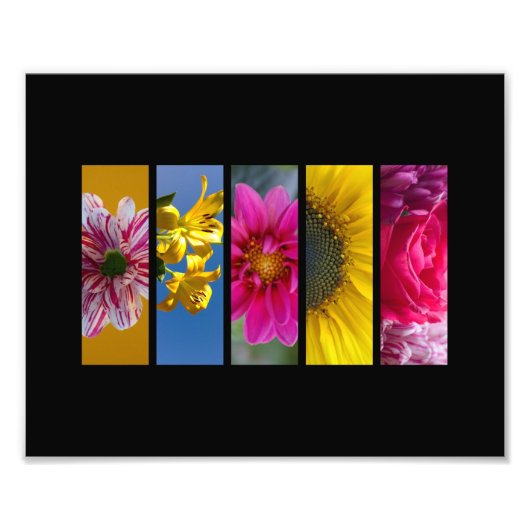 Landschap Roze en Gele Macro Flowers Foto Afdruk (Voorkant)