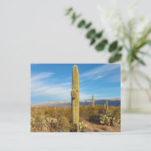 Landschap Saguaro Briefkaart (Staand voorkant)