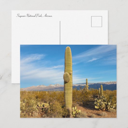 Landschap Saguaro Briefkaart (Voorkant / Achterkant)