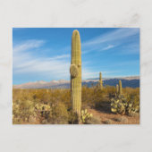 Landschap Saguaro Briefkaart (Voorkant)