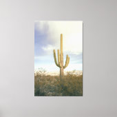 Landschap Saguaro Cactus Canvas Afdruk (Voorkant)