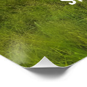 Landschap Saint Kitts Perfect Poster (Hoek)