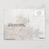 Landschap Salomon Van Ruysdael Briefkaart (Achterkant)