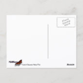 Landschap Shenandoah Sunset National Park Briefkaart (Achterkant)