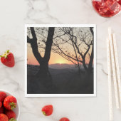 Landschap Shenandoah Sunset National Park Servet (Insitu)