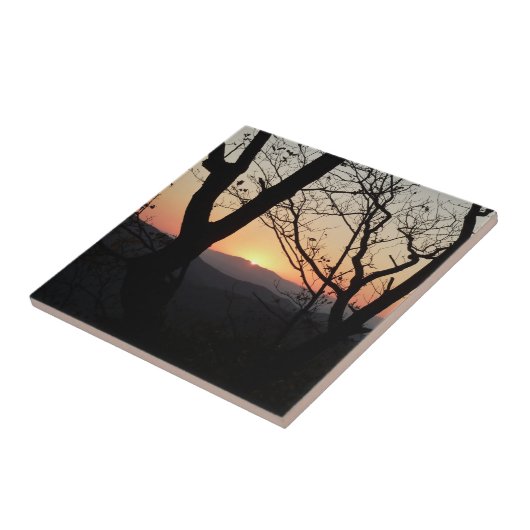 Landschap Shenandoah Sunset National Park Tegeltje (Zijkant)