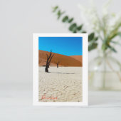 Landschap Sossusvlei Briefkaart (Staand voorkant)
